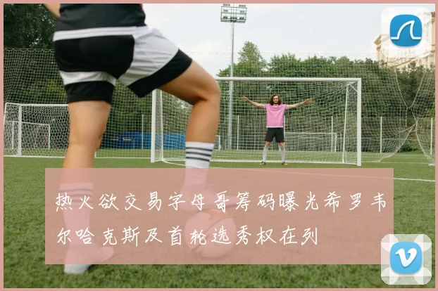 热火欲交易字母哥筹码曝光希罗韦尔哈克斯及首轮选秀权在列