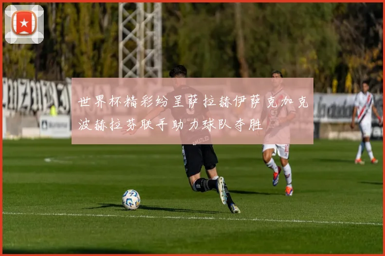 世界杯精彩纷呈萨拉赫伊萨克加克波赫拉芬联手助力球队夺胜